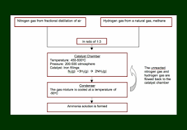 Reaction Haber Process