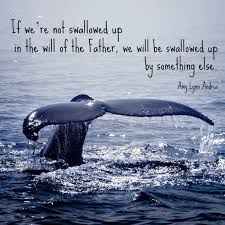 Pin By Delisa Hargrove On My Memes Whale Whale Watching Humpback Whale