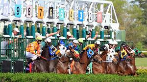 What is the start time for the 2021 preakness stakes? Buyowihaff8sgm