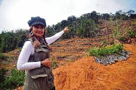 Antara beberapa spesies mamalia di maaysia yang diancam kepupusan ialah badak sumatera, gajah, harimau, dan orang utan. Gelojoh Teroka Hutan