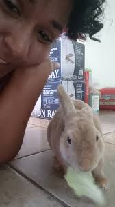 Sound up need some advice. 😁😁😁❤️❤️, He is eating green leaf lettuce.  👍😁❤️, IT'S Not iceberg lettuce.