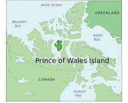 Although it has several small communities, most of the island is part of the tongass national forest, which covers much of southeastern alaska. File Prince Of Wales Island Svg Wikipedia