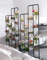 Pin On Orchids When it comes to plant maintenance, many factors contribute to keeping them alive.