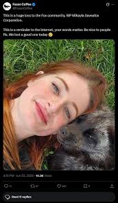 This is how I found out that Mikayla from Saveafox Corporation. was  cyberbullied into suicide : r/WhitePeopleTwitter