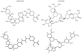 What is ivermectin dosage for human. Ivermectin As An Inhibitor Of Cancer Stem Like Cells