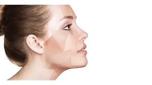 Taking Shape: Genetic Facial Markers Discovered