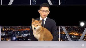 眼球中央电视台 （以中华民国视角，用央视口吻报道台湾时政新闻，我超推荐的，神兽柚子好可爱） 今天再补充一个： taiwan bar 起初介绍台湾历史，现在涉猎广泛难以简单概括，大体是介绍台湾文化、族群等一些冷知识。 çœ¼çƒä¸­å¤®é›»è¦–å° Dcard