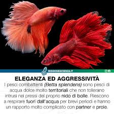 Missione Scienza Community Facebook