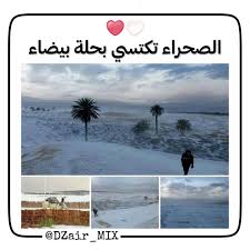 Dzair Mix On Instagram اضغط على زر المتابعة فضلا و للمزيد من الصور و الاخبار و كل جديد Abonne Cette Page S Outdoor Beach Water