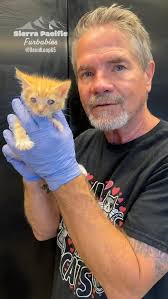 David Loop (@davidloop65) • Instagram photos and videos