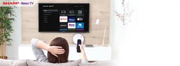 Image result for Sharp CBT-55