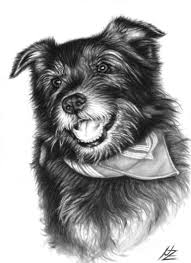 Nicole Zeug Dog Print Art Dog Art Laughing Dog