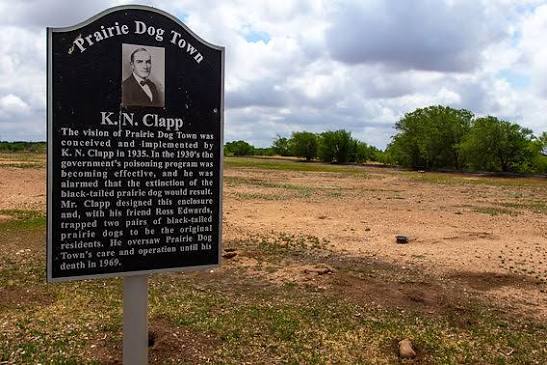 Prairie Dog Town, Lubbock, Texas