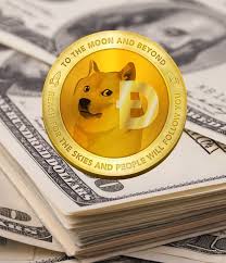 Pundix will perform same like nimiq coin. Dogecoin Doge Cryptocurrency Overview Course How To Buy Sell Exchange Dogecoin In 2020 Cryptocurrency Money Images Buy Dogecoin