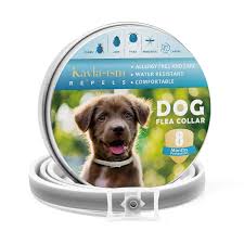 Ants are a serious problem in most homes and while they might seem totally harmless, they can quickly take over your kitchen or preventive measures, when used in conjunction with natural pest repellents like the ones mentioned above, is the best way to tackle a pest problem. Kayla Ism Dog Flea Collar Flea And Tick Collar For Dogs Water Resistant Natural And Safe Ingredients Allergy Free One Size Flea Collar Flea And Tick Fleas