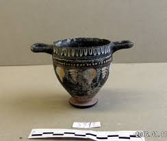 Image result for Dignathia