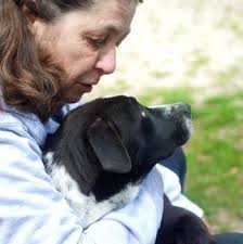 2017 NiSHA Annual Report