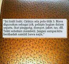 Bijinya yang berwarna hijau dilindungi oleh kulit berwarna krem yang katupnya sedikit terbuka, sehingga menunjukkan sebagian kacang. Mengenal Barangan Kulit Babi Khinzir
