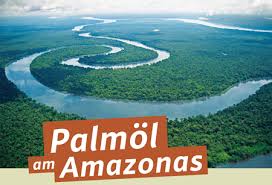 We did not find results for: Regenwald Report 01 2011 Palmol Am Amazonas Rettet Den Regenwald E V
