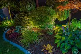 Elegant Backyard Garden Led Lights Illumination Lighting In Stock Photo Picture And Royalty Free Image Image 84548451
