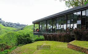 Perjalanan ke boh sungei palas tea centre cameron highland. Boh Tea Centre Sungai Palas Cameron Highlands Malaysian Flavours