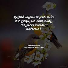 If your day starts the day with one whom you love a lot then you skip or faster a heartbeat and bring a teasing smile with chubby on the face. Good Morning Quotes Telugu Good Morning Images In Telugu Heloplus