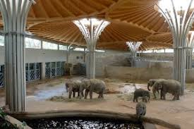 Da gerade schulferien sind, richtet sich das angebot in erster. Geheimnisvolle Nachtexpedition Im Zoo Koln Mamilade Ausflugsziele