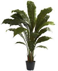 Cacti are a great way to add a simple and minimal effect to any aspect of home decor. Nearly Natural 3 5 Bird S Nest Artificial Plant Reviews Artificial Plants Home Decor Macy S Faux Plants Floor Plants Artificial Plants
