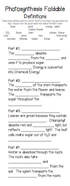 Photosynthesis And Cellular Respiration Photosynthesis And Cellular Respiration Photosynthesis Middle School Science Experiments