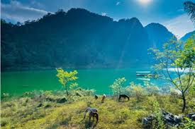 Đặng thị huệ địa chỉ: Kinh Nghiá»m Du Lá»ch Báº¯c Káº¡n Tá»« A Z Má»i Nháº¥t 2020