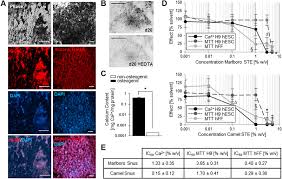 Camel snus frost, camel spice snus, camel mellow, camel robust, camel winterchill and. Video Based Kinetic Analysis Of Calcification In Live Osteogenic Human Embryonic Stem Cell Cultures Reveals The Developmentally Toxic Effect Of Snus Tobacco Extract Sciencedirect