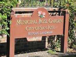 Have master volunteers that teach people proper rose care, and they get to practice in the garden! Municipal Rose Garden San Jose 2021 All You Need To Know Before You Go With Photos San Jose Ca Tripadvisor