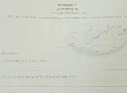 Which one of the following organs is not a site for the production of white blood cells ? Instruction Refer To The Pictures Below Label Its Parts And Answer The Questions That Follow Science Brainly Ph