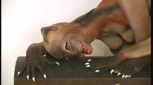 Snakes typically swim, climb or crawl by bending their spine into serpentine coils or using the leading edges to push off objects. Flexible Snake Lady Crawling In Nature 11986 Porn Videos Hd Porn Videos Sex Movies Porn Tube