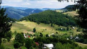 Frumos cu flori violet numite wisteria, în română glicină; VacanÈÄ De Vis In Apuseni 12 Pensiuni Uimitoare Din Inima MunÈilor De Care N Ai Auzit