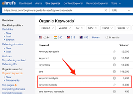 Keywords Richach Is The Foundation Of Your Website I Can Give You Low Competition Keywords So That Your Free Keyword Tool Competition How To Find Out