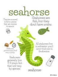 If you manage to pass, you can claim your rightful place as a trivia god! Ocean Animal Fact Posters Animal Facts For Kids Fun Facts For Kids Ocean Kids
