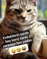 2 554 Begenme 70 Yorum Instagram Da Cilgin Paylasim0 Boyle Birini Etiketle Cilgin Paylasim0 2020 Komik Seyler Komik Komik Capsler
