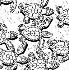 Pin On Turtle