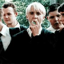 In the meantime, professor dumbledore (michael gambon) seems to have finally removed the shroud of secrecy from harry about the dark path that lies ahead, and instead provides private lessons to get him prepared. Draco Malfoy Gifs Tenor