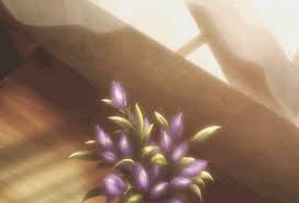Understand the meaning behind flowers from a to z: Eren Eren Eren Tumblr Com Tumbex