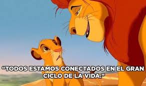 Frases Del Rey Leon A Su Hijo El Rey Leon Frases Frases Inspiradoras De Disney Frases De Caricaturas