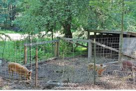View photos, research land, search and filter more than 106 listings | land and farm What To Raise On Your Homestead Or Backyard Farm