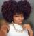 Short Burgundy Natural Hair On Dark Skin