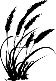 Farm Wheat Farming Grass Free Svg Image Icon Grass Silhouette Image Icon Svg