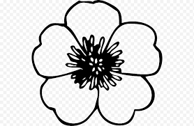 Free png imagesmillions of png images, backgrounds and vectors for free download. Bunga Hitam Dan Putih Desain Bunga Siluet Dokumen Blog Warna Kelopak Hitam Putih Png Klipartz