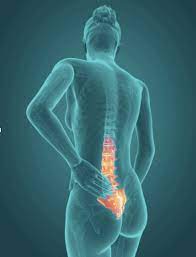 Find tight muscles in lower back. The Anatomy Of The Glutes And Their Role In Lower Back Pain Gw Osteopathy