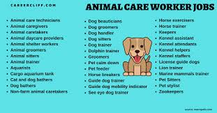 Pet care in united states. 40 Animal Care Service Worker Jobs Duties Prospects Salary Career Cliff