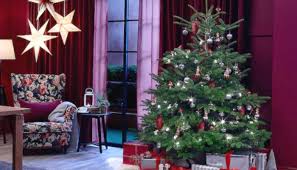 Get A Real 6ft Christmas Tree For 9 At Ikea This Year Skint Dad