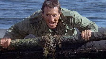 Jaws 2: The One Where Chief Brody Goes Insane – The Main Damie